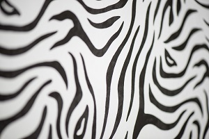   2D  , Zebra 1200*2700,  